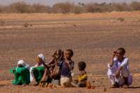 nubia_2023feb23_1098_small.jpg