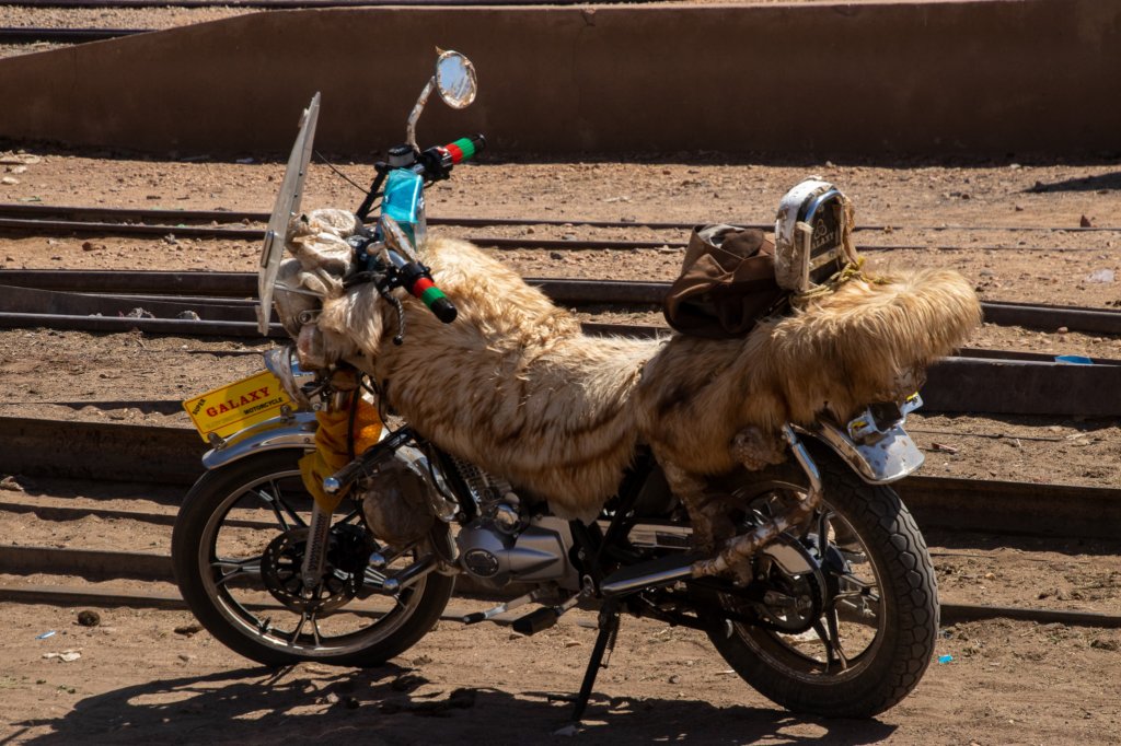 nubia_2023feb23_1105.jpg