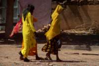 nubia_2023feb23_1116_small.jpg