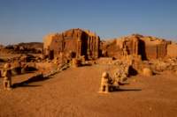 nubia_2023feb23_1134_small.jpg