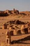 nubia_2023feb23_1136_small.jpg