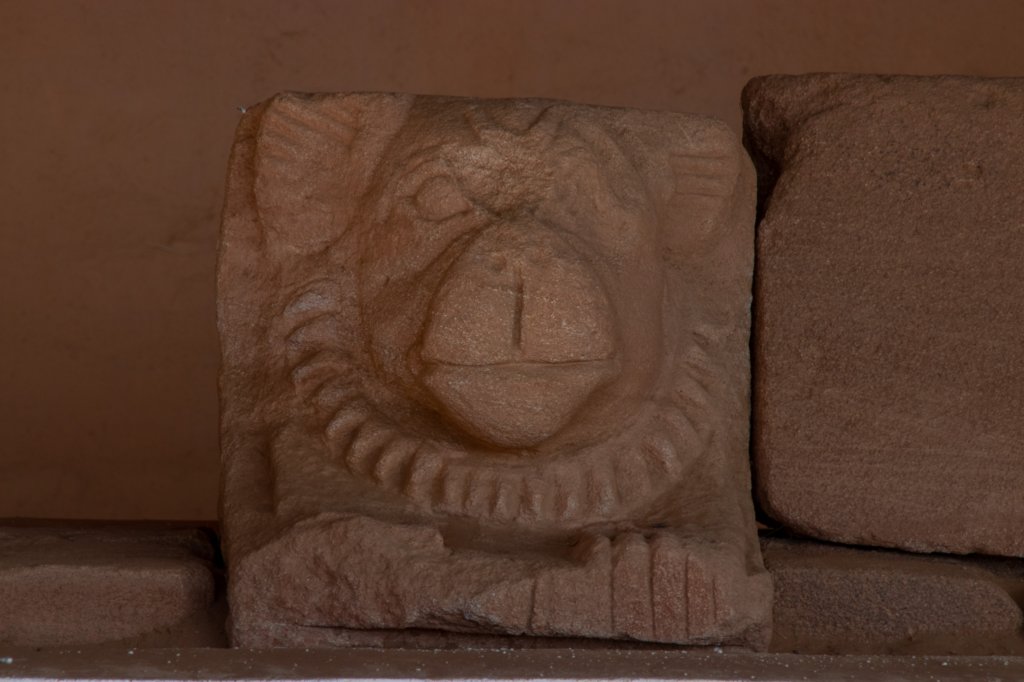 nubia_2023feb23_1141.jpg