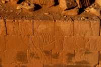 nubia_2023feb23_1143_small.jpg