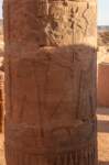 nubia_2023feb23_1145_small.jpg