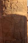 nubia_2023feb23_1146_small.jpg