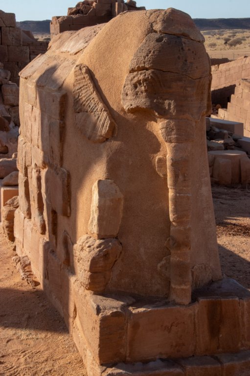 nubia_2023feb23_1148.jpg