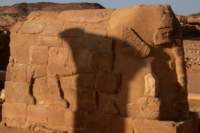 nubia_2023feb23_1149_small.jpg