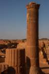nubia_2023feb23_1150_small.jpg