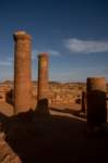 nubia_2023feb23_1151_small.jpg
