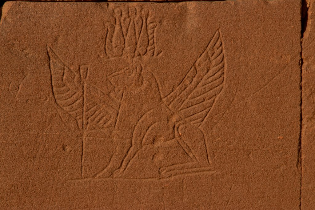 nubia_2023feb23_1154.jpg