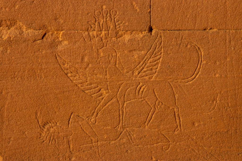 nubia_2023feb23_1155.jpg