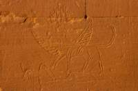 nubia_2023feb23_1155_small.jpg