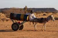 nubia_2023feb23_1157_small.jpg