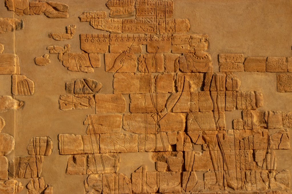 nubia_2023feb23_1160.jpg