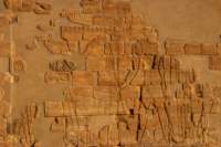 nubia_2023feb23_1160_small.jpg