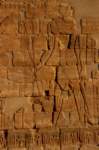 nubia_2023feb23_1161_small.jpg