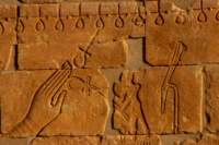 nubia_2023feb23_1162_small.jpg