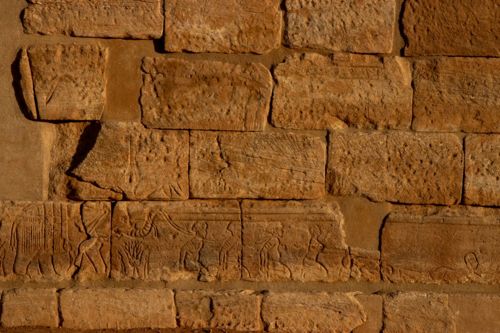 nubia_2023feb23_1163.jpg