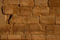 nubia_2023feb23_1163_small.jpg