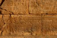 nubia_2023feb23_1164_small.jpg