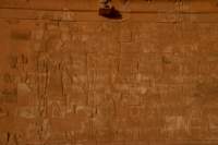 nubia_2023feb23_1166_small.jpg