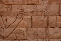 nubia_2023feb23_1174_small.jpg