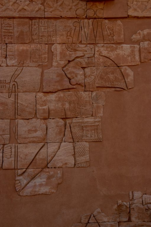 nubia_2023feb23_1175.jpg