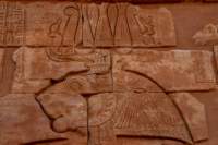 nubia_2023feb23_1176_small.jpg