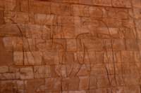nubia_2023feb23_1177_small.jpg