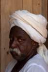 nubia_2023feb23_1182_small.jpg