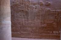 nubia_2023feb23_1183_small.jpg