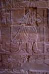 nubia_2023feb23_1184_small.jpg