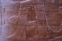 nubia_2023feb23_1185_small.jpg
