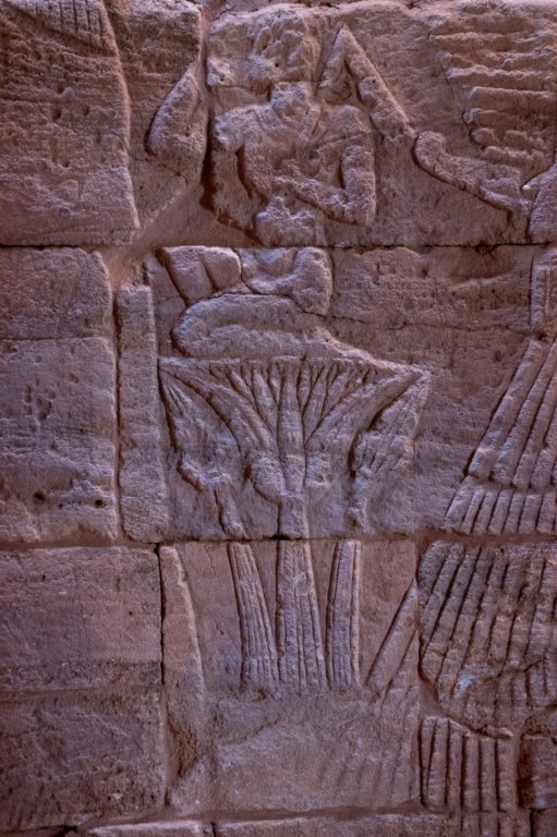 nubia_2023feb23_1186.jpg