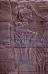 nubia_2023feb23_1186_small.jpg