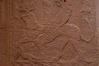 nubia_2023feb23_1187_small.jpg