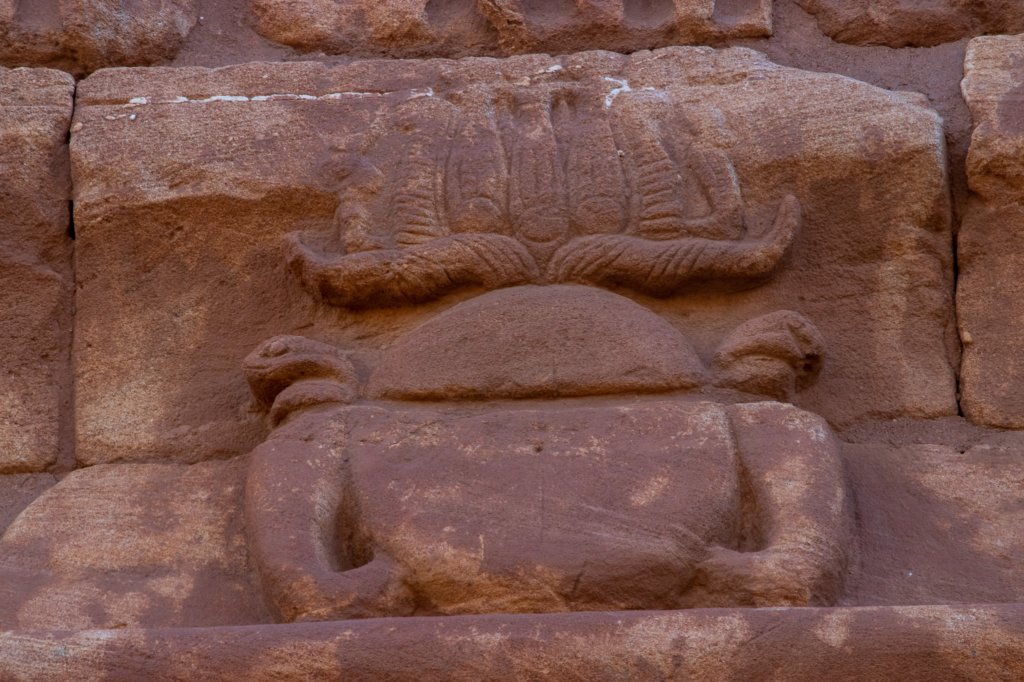 nubia_2023feb23_1188.jpg