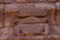 nubia_2023feb23_1188_small.jpg