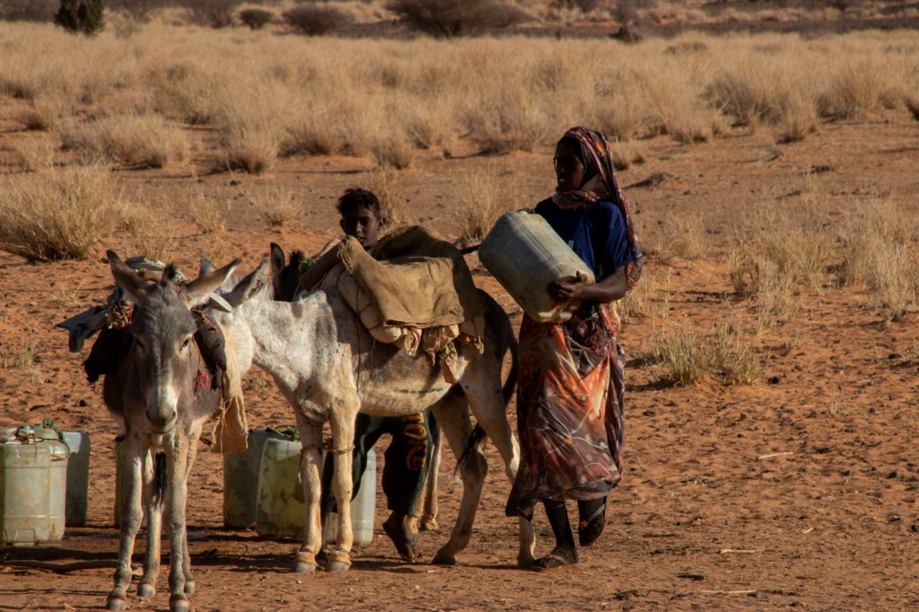 nubia_2023feb24_1205.jpg