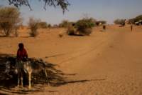 nubia_2023feb24_1224_small.jpg