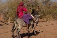 nubia_2023feb24_1226_small.jpg