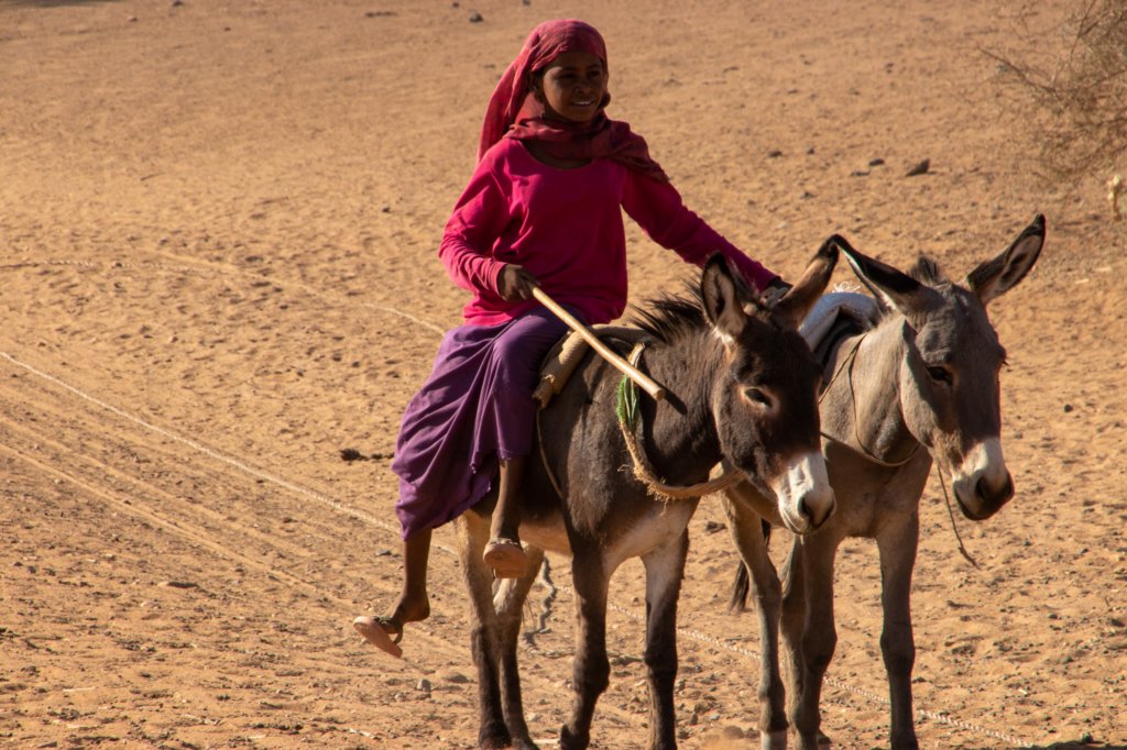 nubia_2023feb24_1228.jpg
