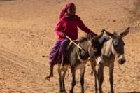 nubia_2023feb24_1228_small.jpg