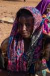 nubia_2023feb24_1250_small.jpg