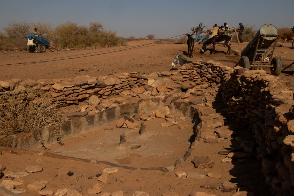 nubia_2023feb24_1253.jpg