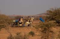 nubia_2023feb24_1254_small.jpg