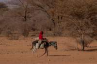 nubia_2023feb24_1257_small.jpg