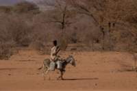 nubia_2023feb24_1258_small.jpg