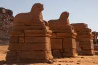 nubia_2023feb24_1261_small.jpg