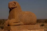 nubia_2023feb24_1264_small.jpg